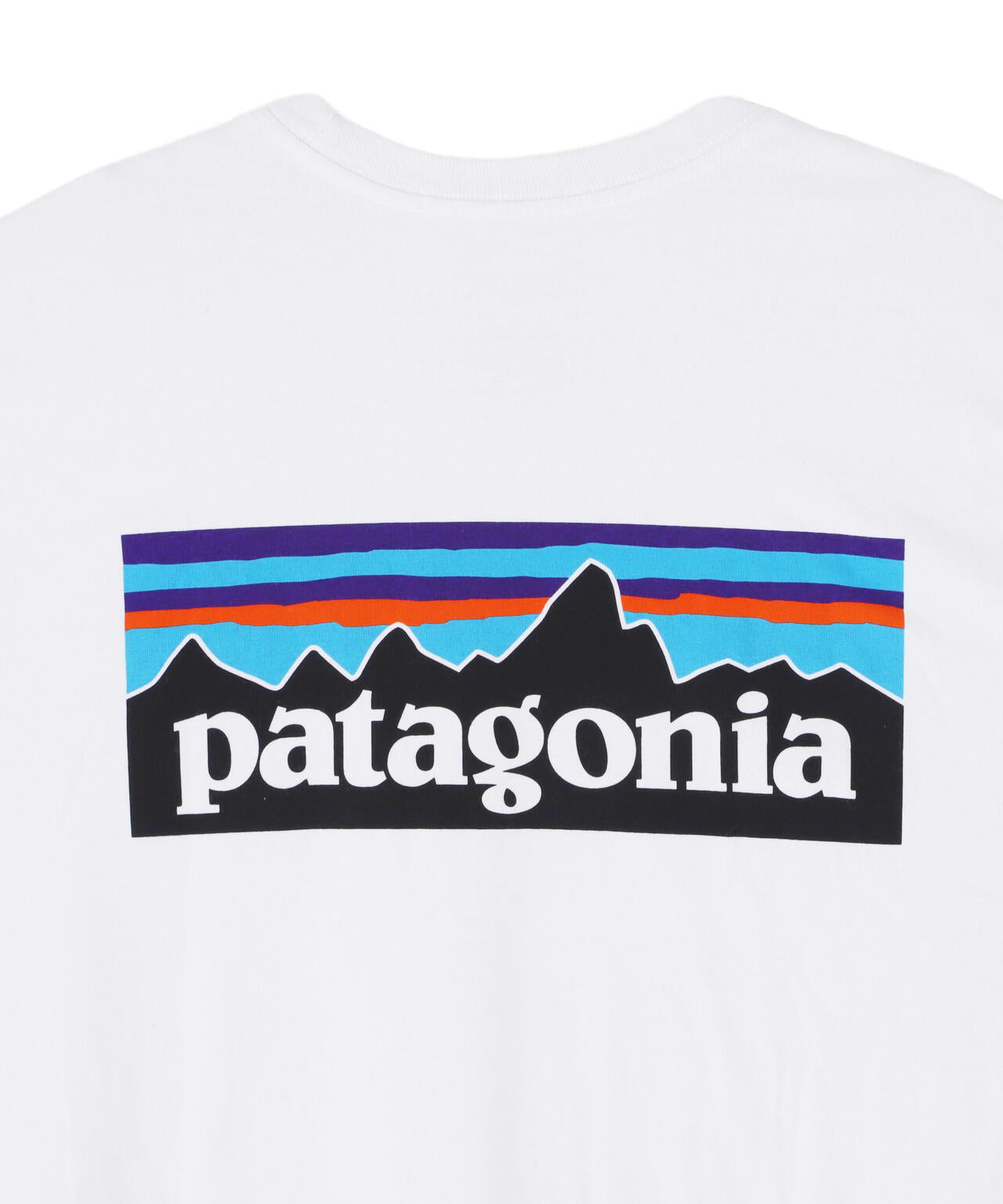 Patagonia/パタゴニア メンズ・P-6ロゴ・レスポンシビリティー