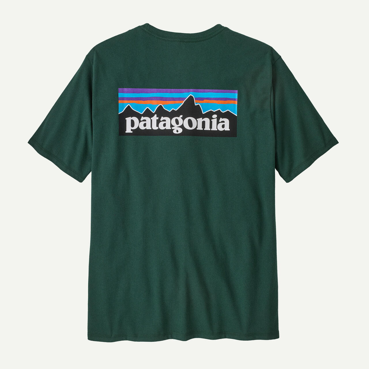Patagonia/パタゴニア メンズ・P-6ロゴ・レスポンシビリティー