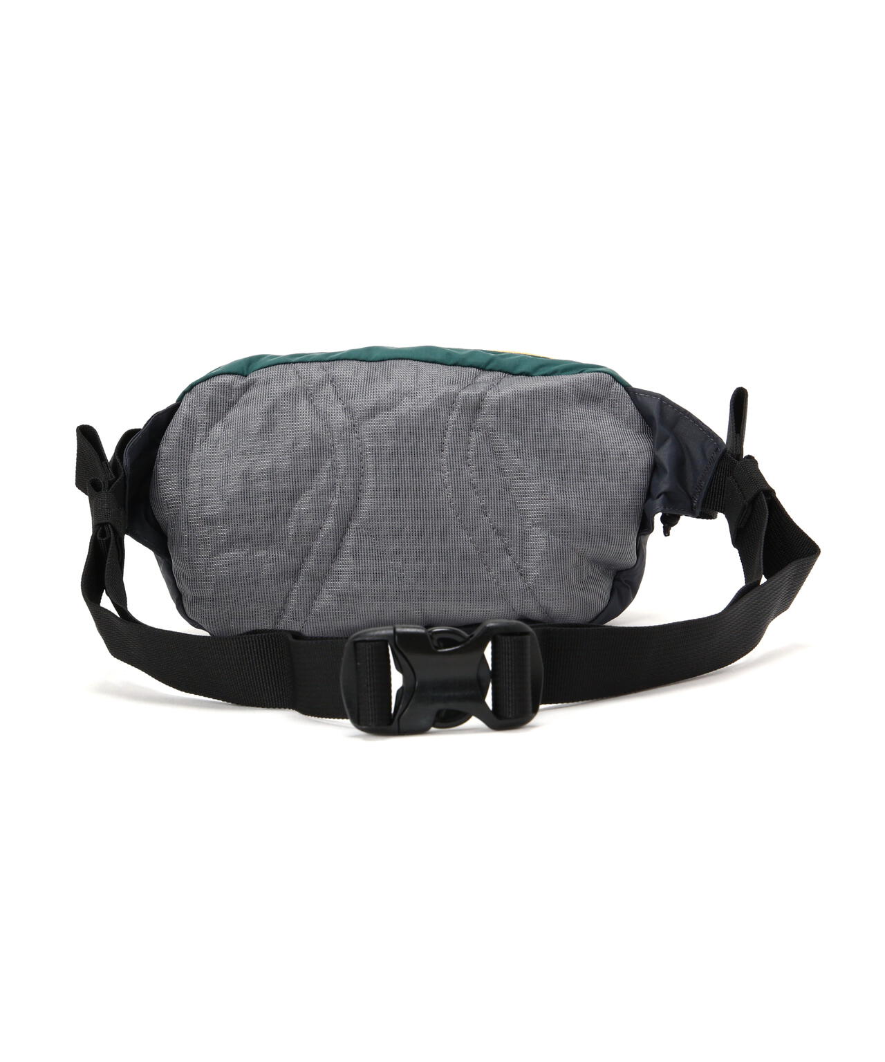 Patagonia/パタゴニア テラヴィア・ミニ・ヒップ・パック 1L