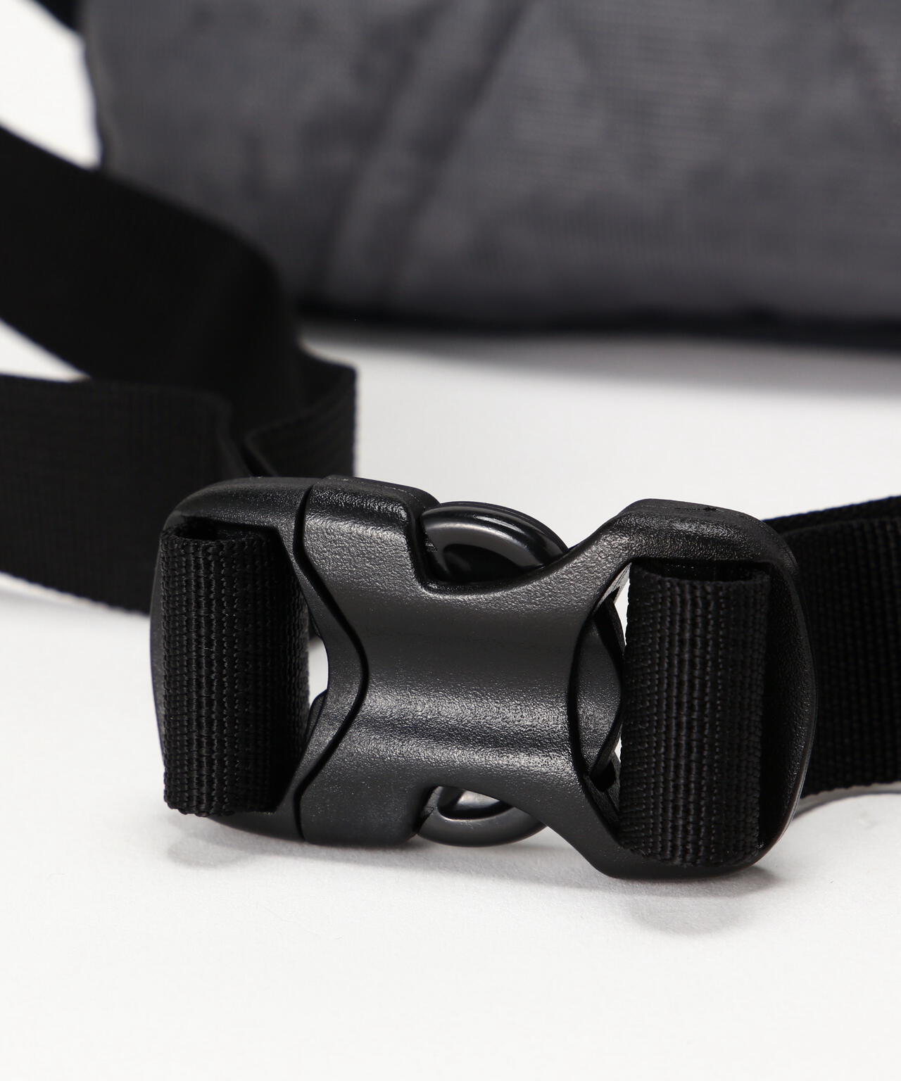 Patagonia/パタゴニア テラヴィア・ミニ・ヒップ・パック 1L