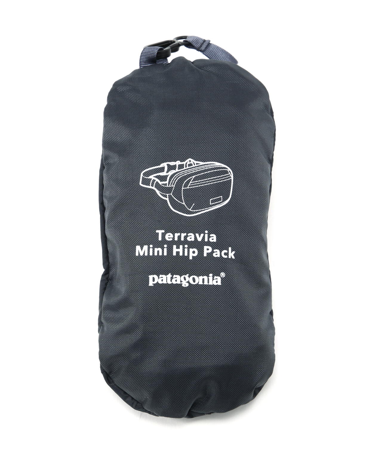 Patagonia/パタゴニア テラヴィア・ミニ・ヒップ・パック 1L