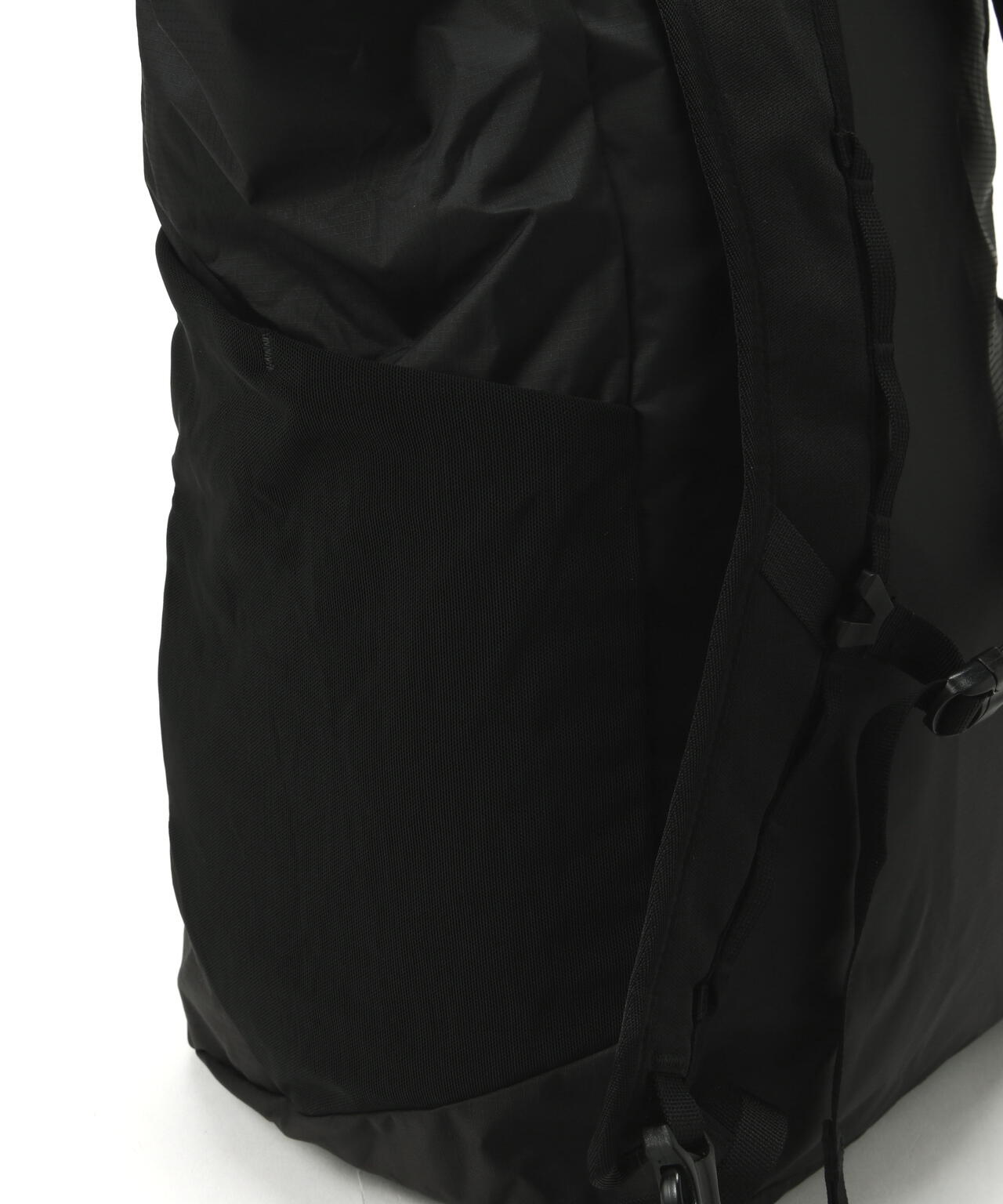 Patagonia/パタゴニア テラヴィア・トート・パック 24L