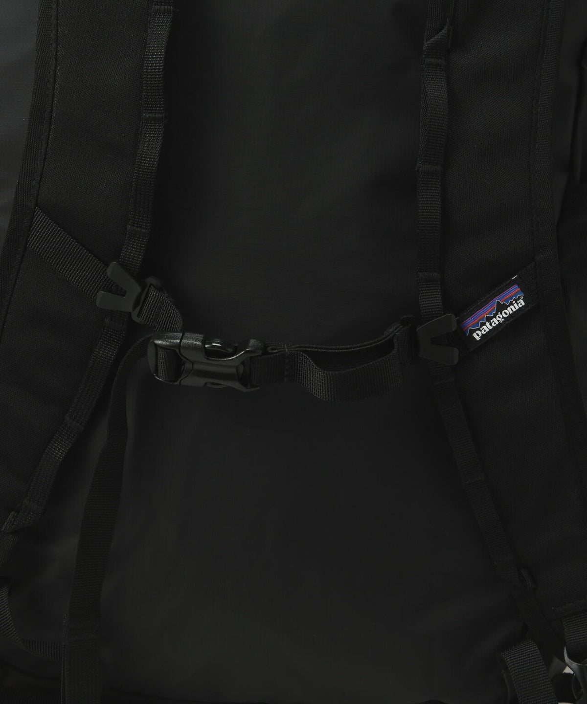 Patagonia/パタゴニア テラヴィア・トート・パック 24L