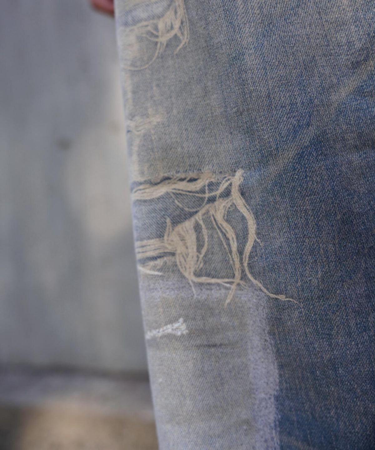 B omnivore/ビーオムニボー 転写 DENIM PANT