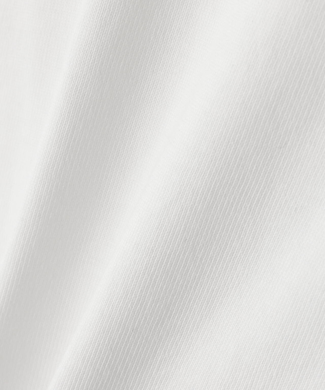 THE NORTH FACE/ザ・ノース・フェイス GAR Typographic White S/S Tee NT32666