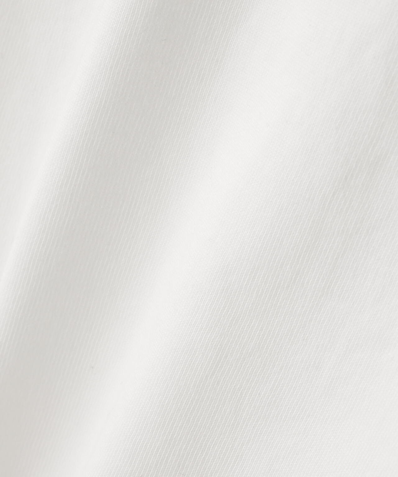 THE NORTH FACE/ザ・ノース・フェイス GAR Typographic White S/S Tee NT32666