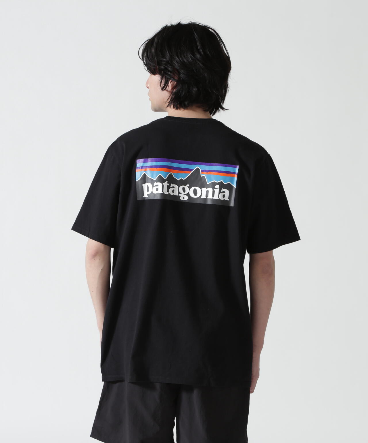 Patagonia/パタゴニア メンズ・P-6ロゴ・レスポンシビリティー 38504