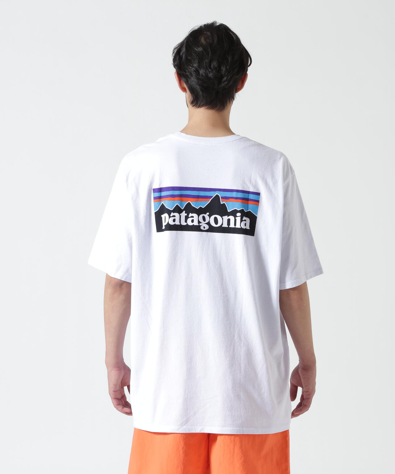Patagonia/パタゴニア メンズ・P-6ロゴ・レスポンシビリティー 38504