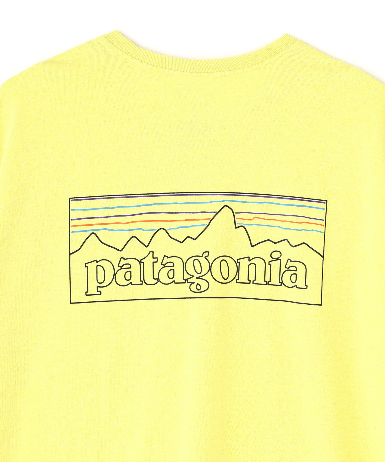 Patagonia/パタゴニア メンズ・P-6ロゴ・レスポンシビリティー 38504