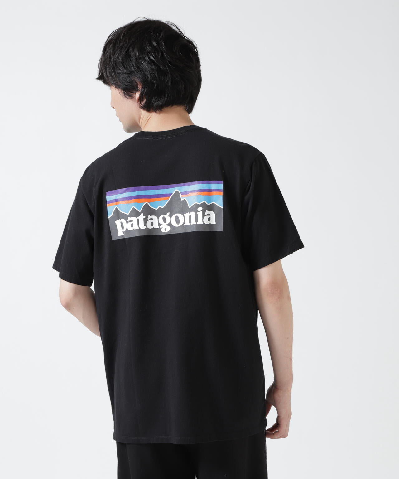 Patagonia/パタゴニア メンズ・P-6ロゴ・レスポンシビリティー