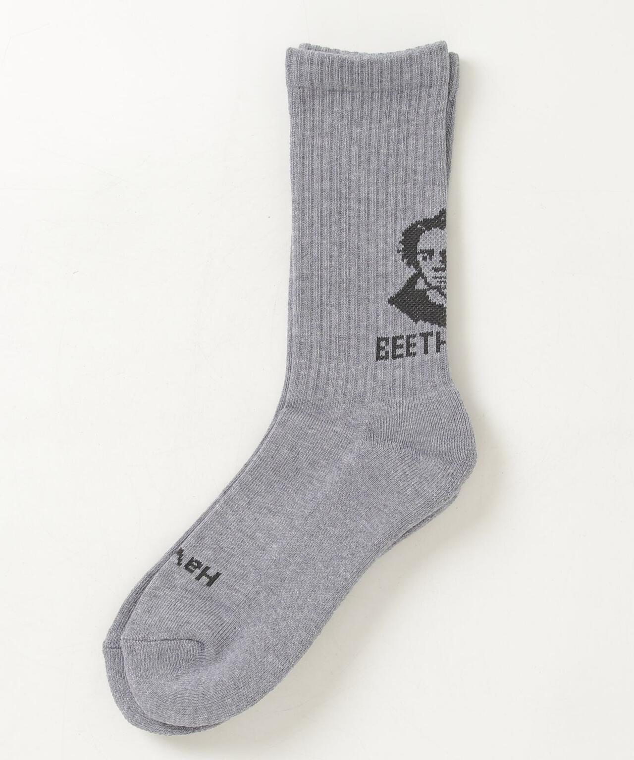 ROSTER SOX/ロスターソックス BEETHVEN SOCKS メンズ レディース