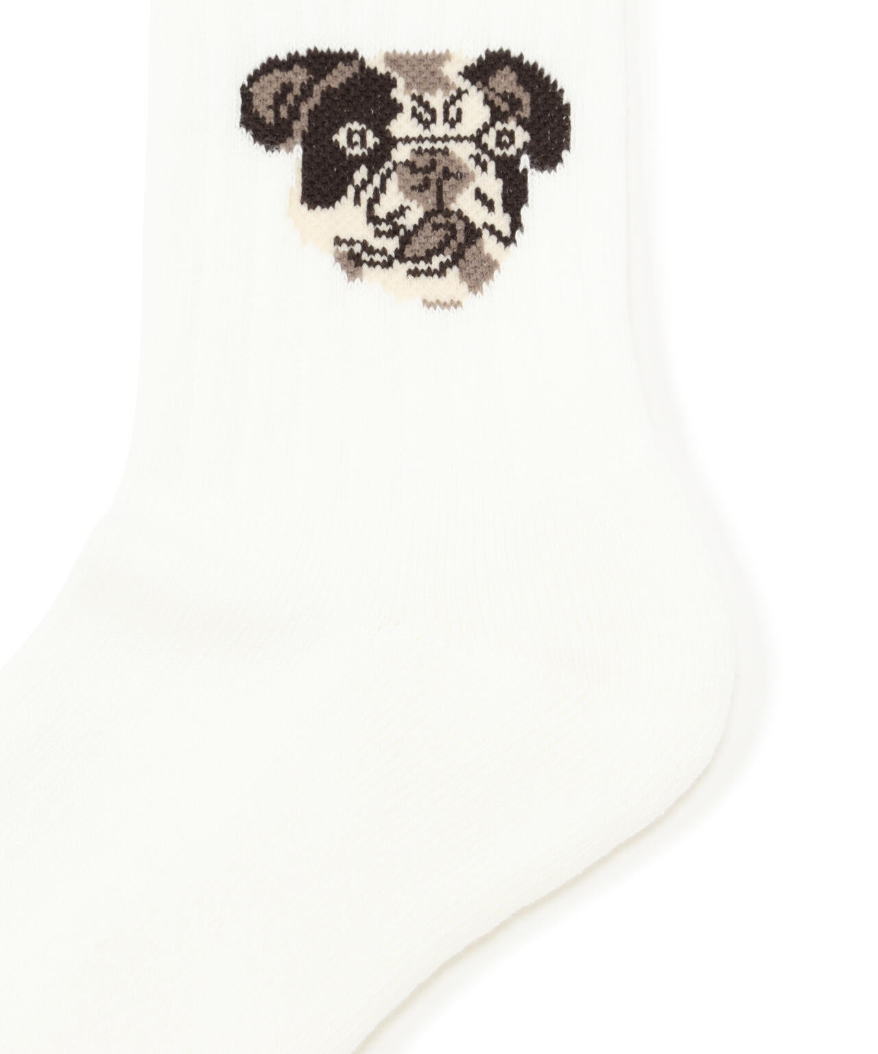 ROSTER SOX/ロスターソックス DOG SOCKS