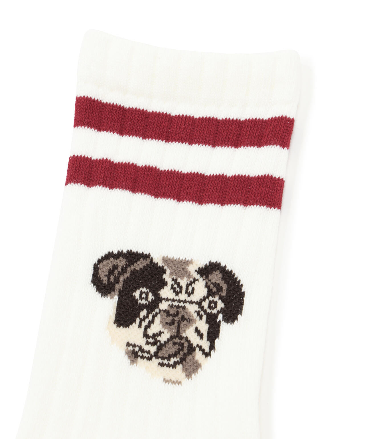 ROSTER SOX/ロスターソックス DOG SOCKS