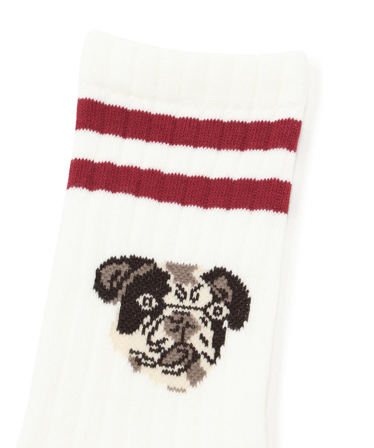 ROSTER SOX/ロスターソックス DOG SOCKS