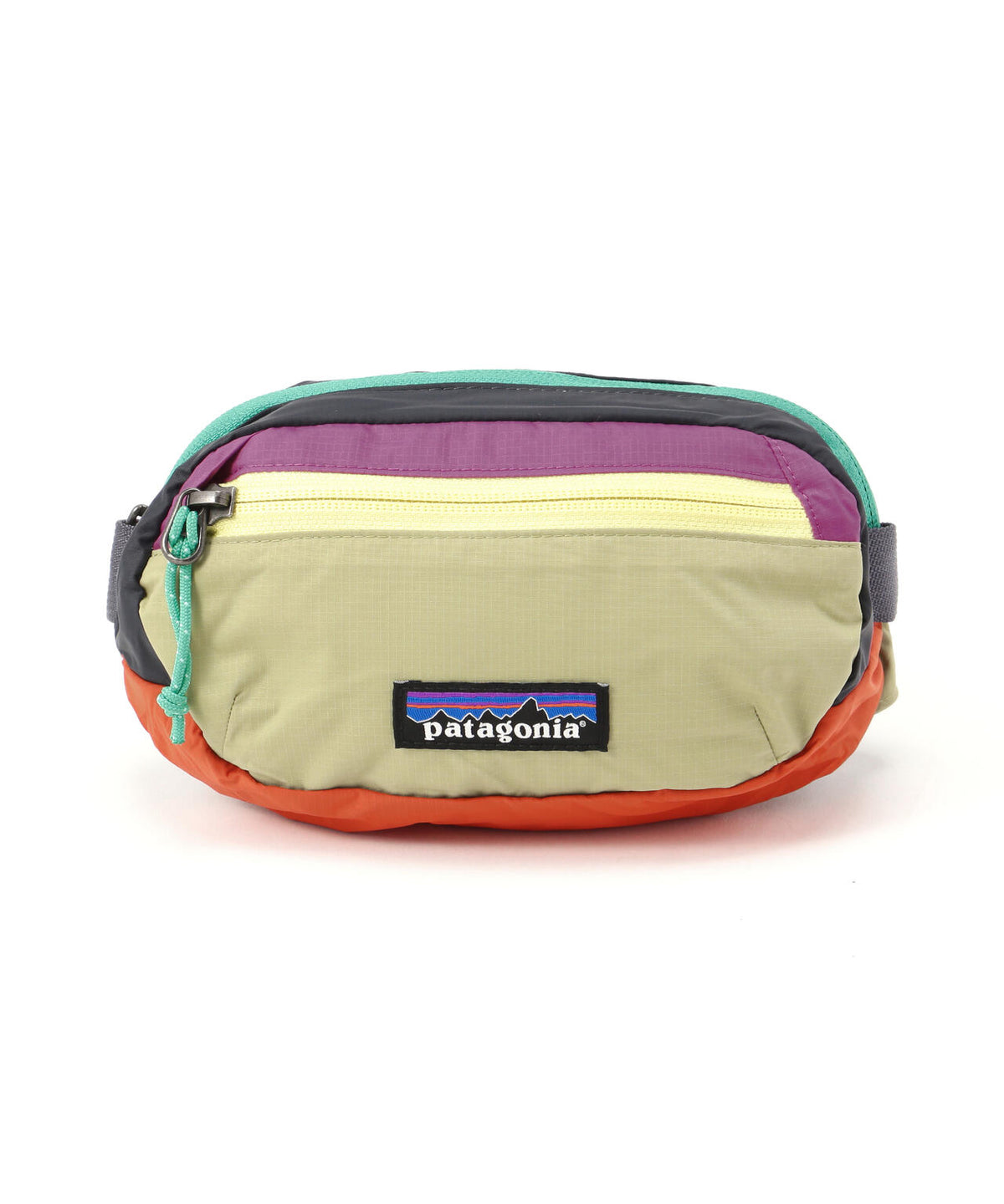 Patagonia/パタゴニア テラヴィア・ミニ・ヒップ・パック 1L 49448
