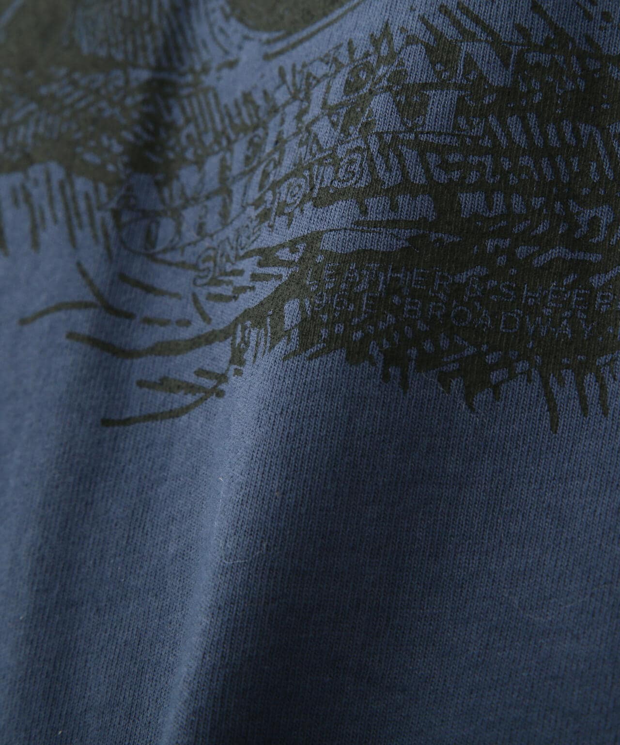 fcefa066-2cc3-5dbc-86b1-ee404ab23e8c_Image