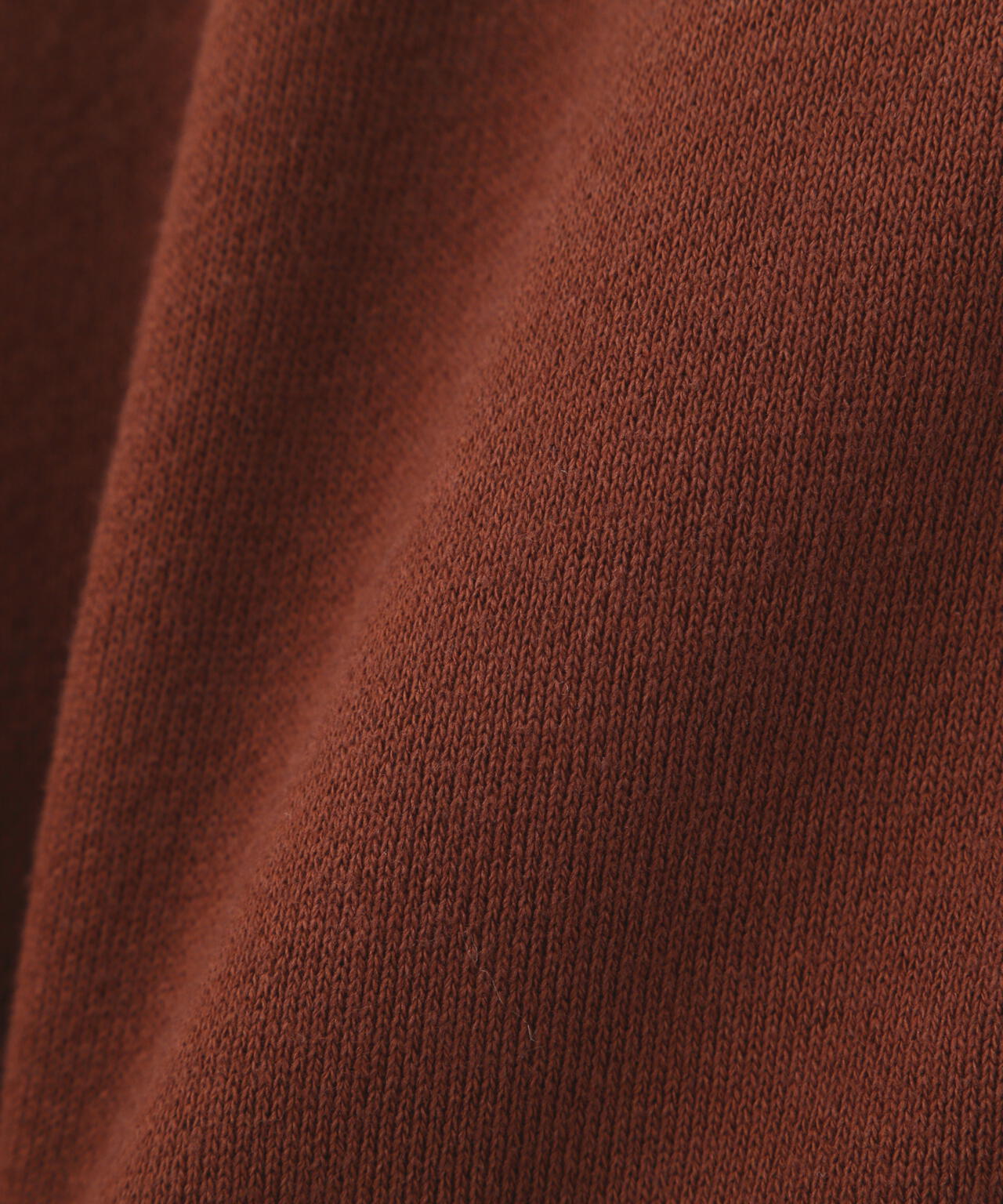 EMB. CHERRY BLOSSOM JAPAN EAGLE HOODED SWEAT/チェリーブロッサム ジャパンイーグル パーカー