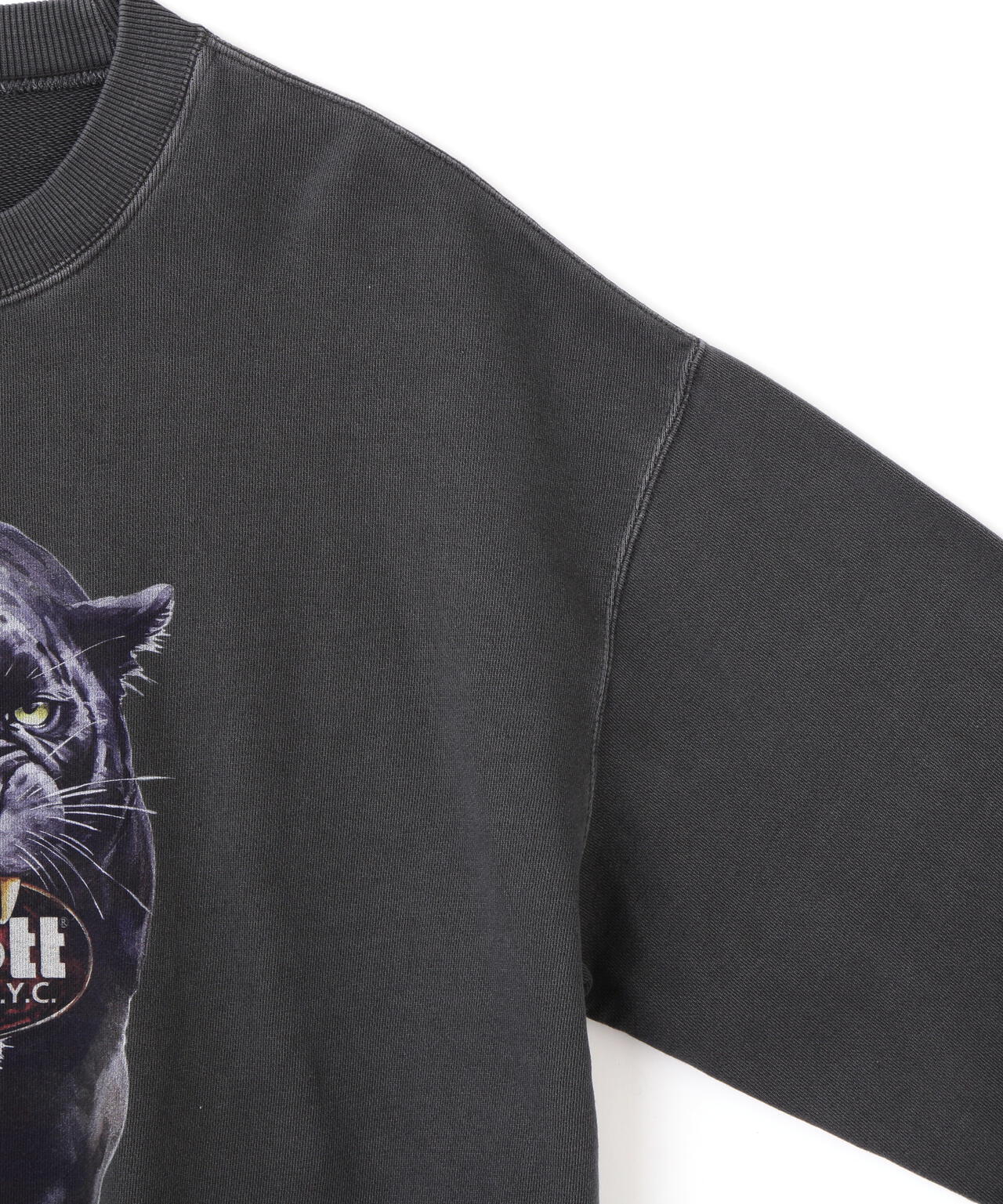 277f1780-6870-5d64-bf56-b5b55f2b5773_Image