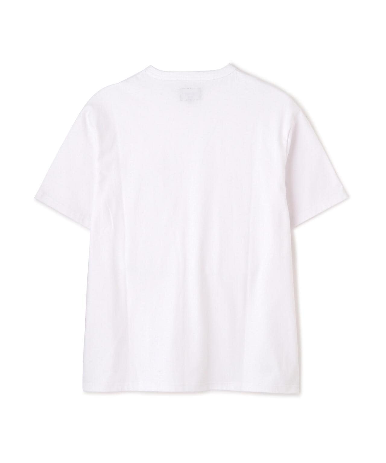 795feb94-096a-57b9-896b-dcf086f99552_Image