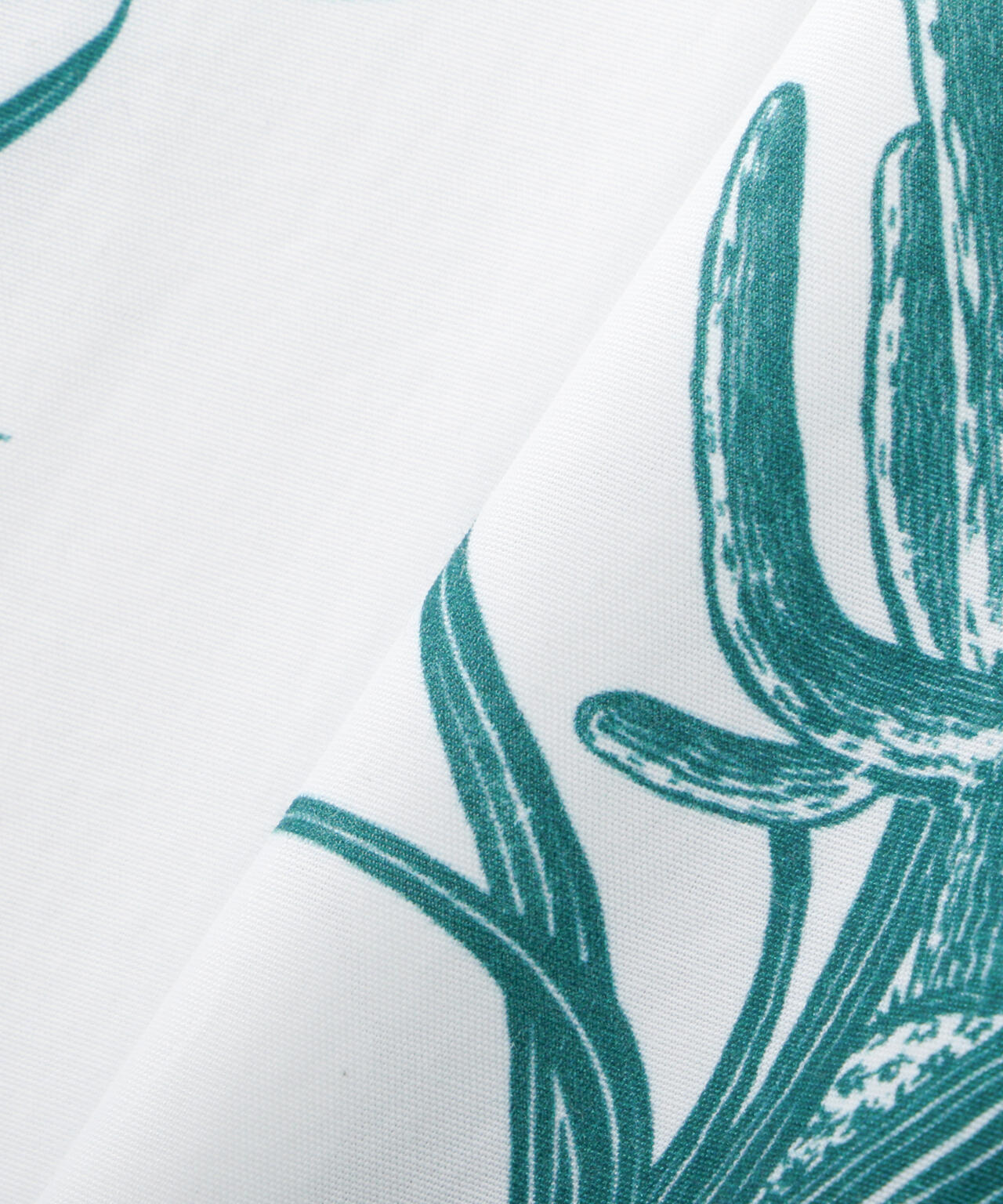 f769a5a6-37ae-5bae-b2e7-66ed170dc3a5_Image