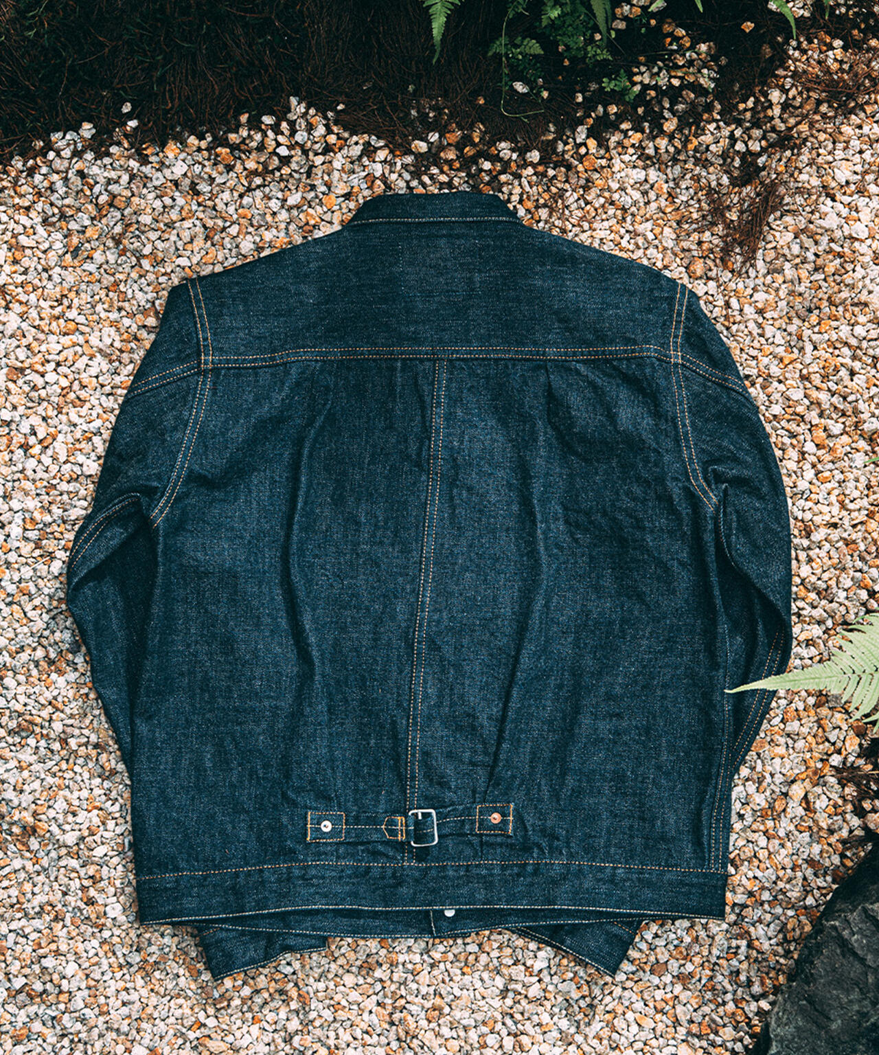 785ed4f1-55f5-5256-97ef-4b9f340f4b5d_Image