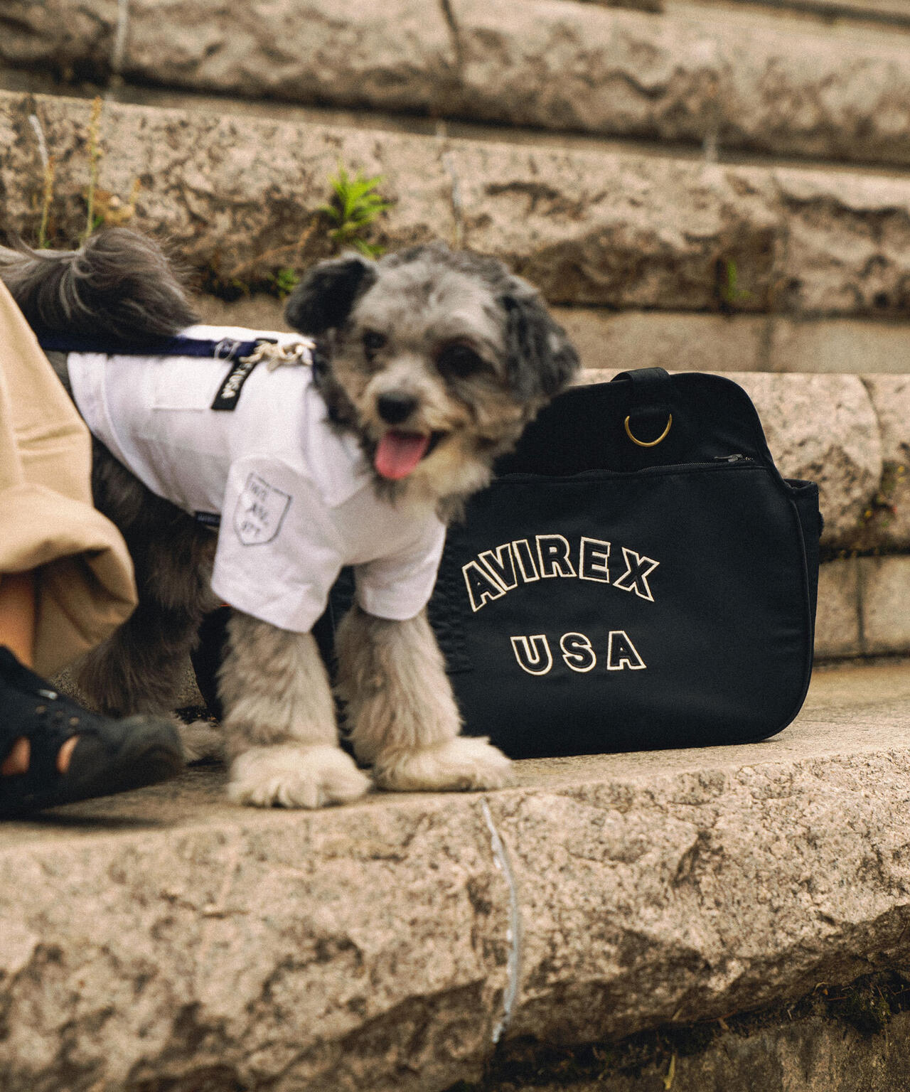 【DOG WEAR/ドッグウェア】ファティーグ Tシャツ/FATIGUE T-SHIRT