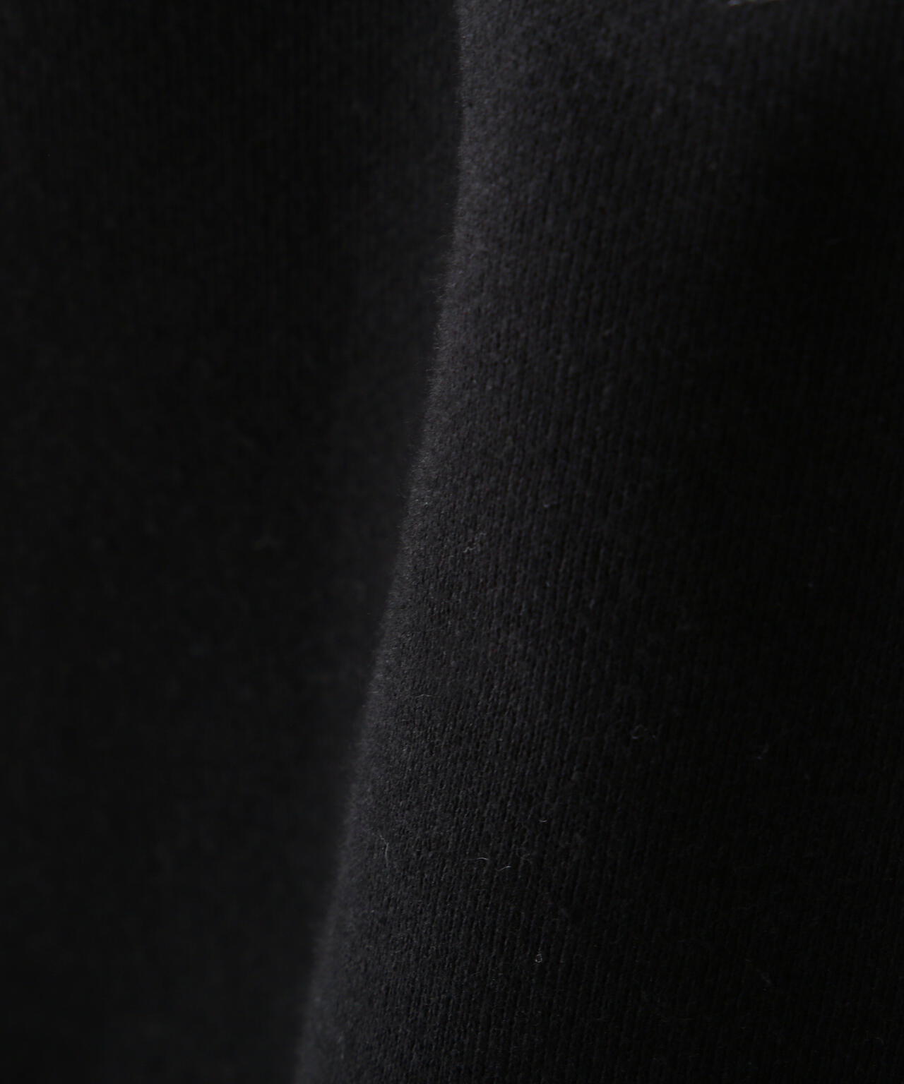 VARSITY LOGO SWEAT/バーシティロゴスウェット