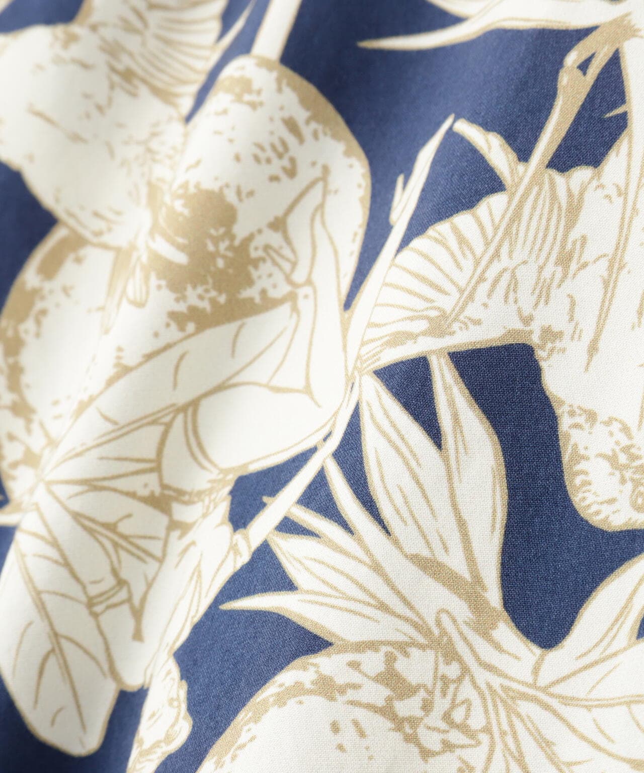 8e846da2-9199-5578-9d75-4a48552e4fc3_Image