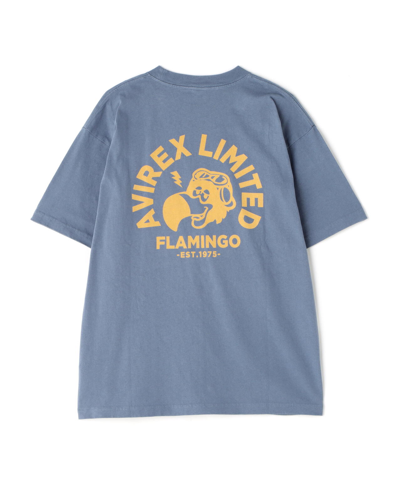 8573b0e9-90eb-56ca-9935-67507d5f4132_Image