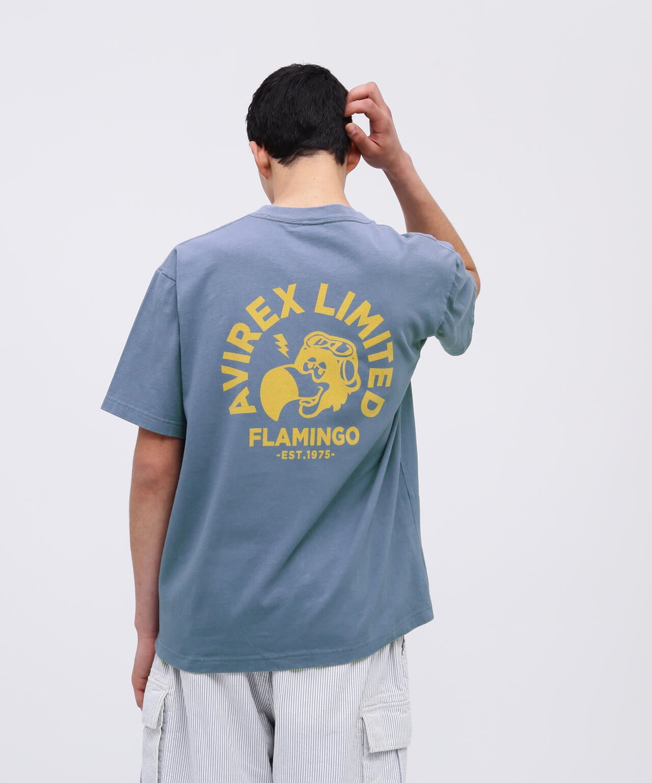 f6614389-31fd-59b2-a068-29c5878f4b8f_Image