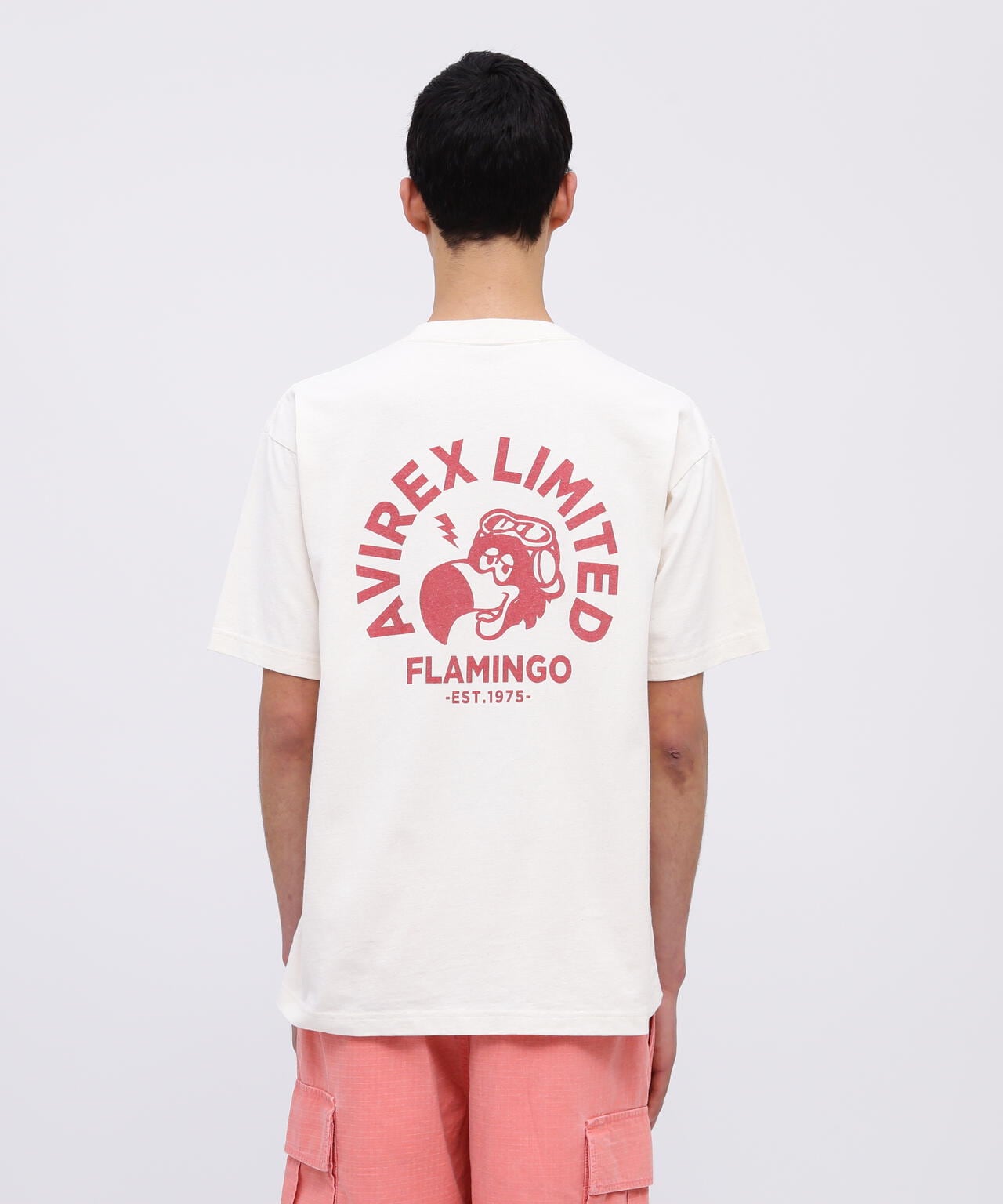 beedea74-43a4-5ae4-ba93-88e19b365f04_Image