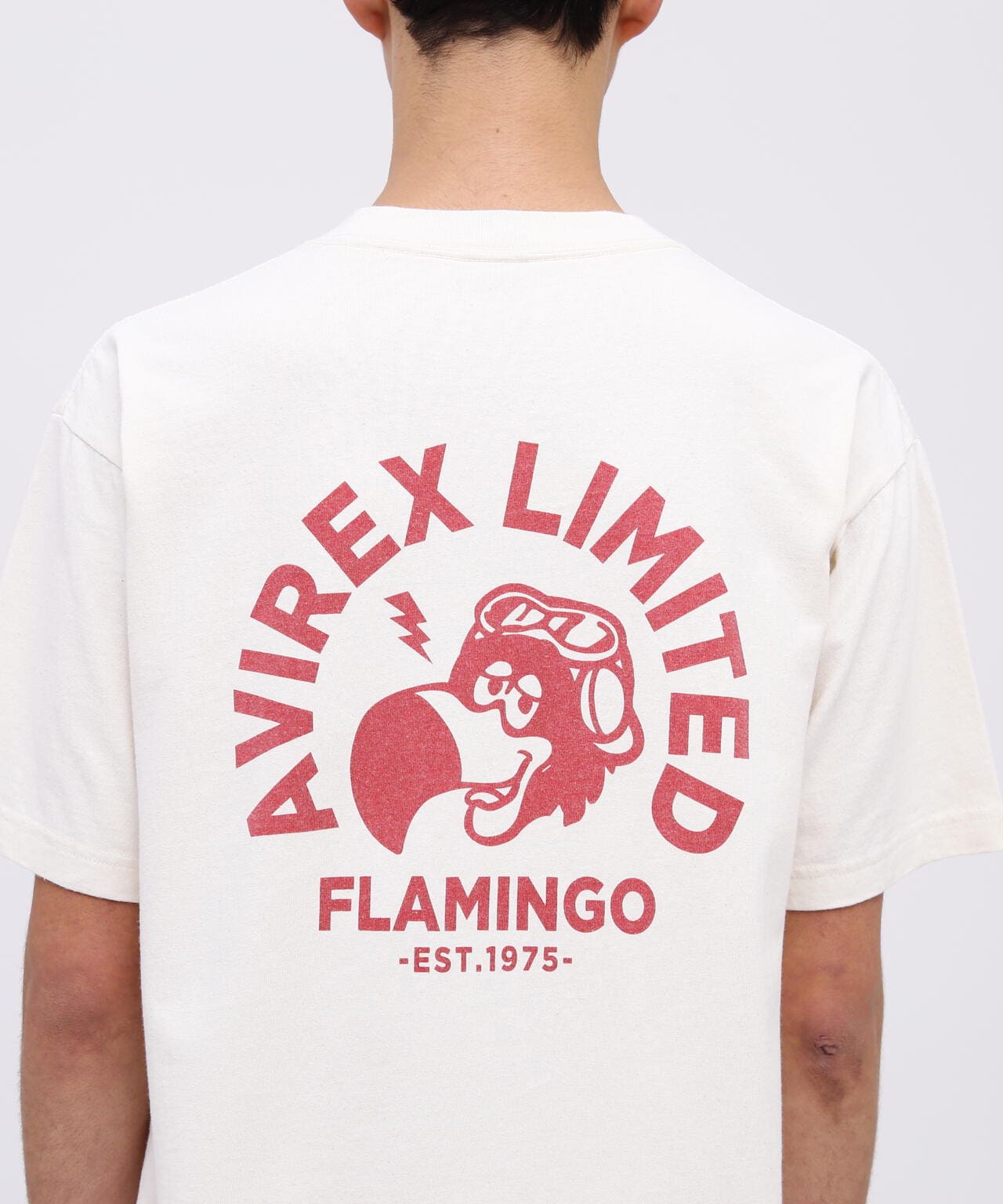 88ac0933-ef64-5d74-9a58-5751fa19867f_Image