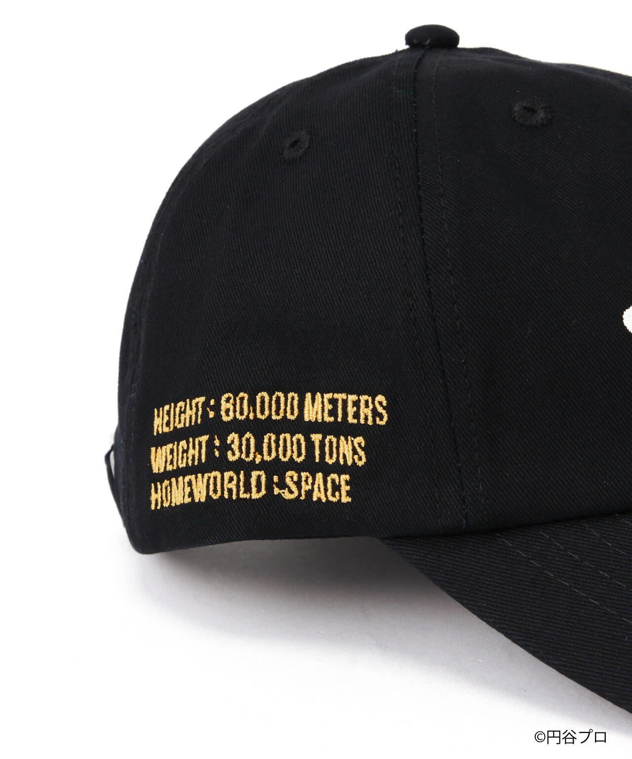 d764da22-f13d-54af-a860-7133cf356a18_Image