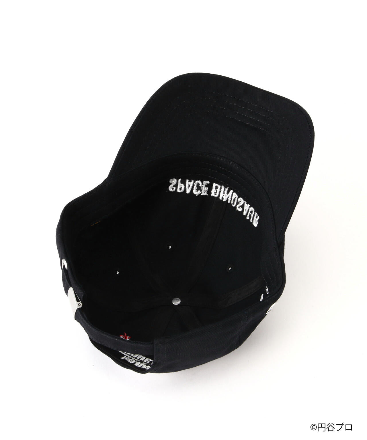 a3104e67-2693-5e9b-984c-21bb0be8f86e_Image