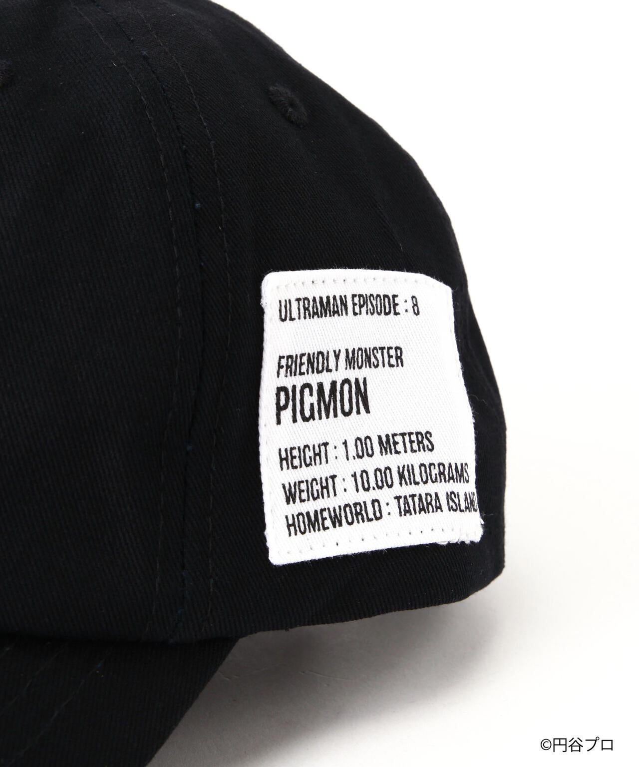 036a8f21-cc4c-5e43-8fef-9ad46578af6a_Image