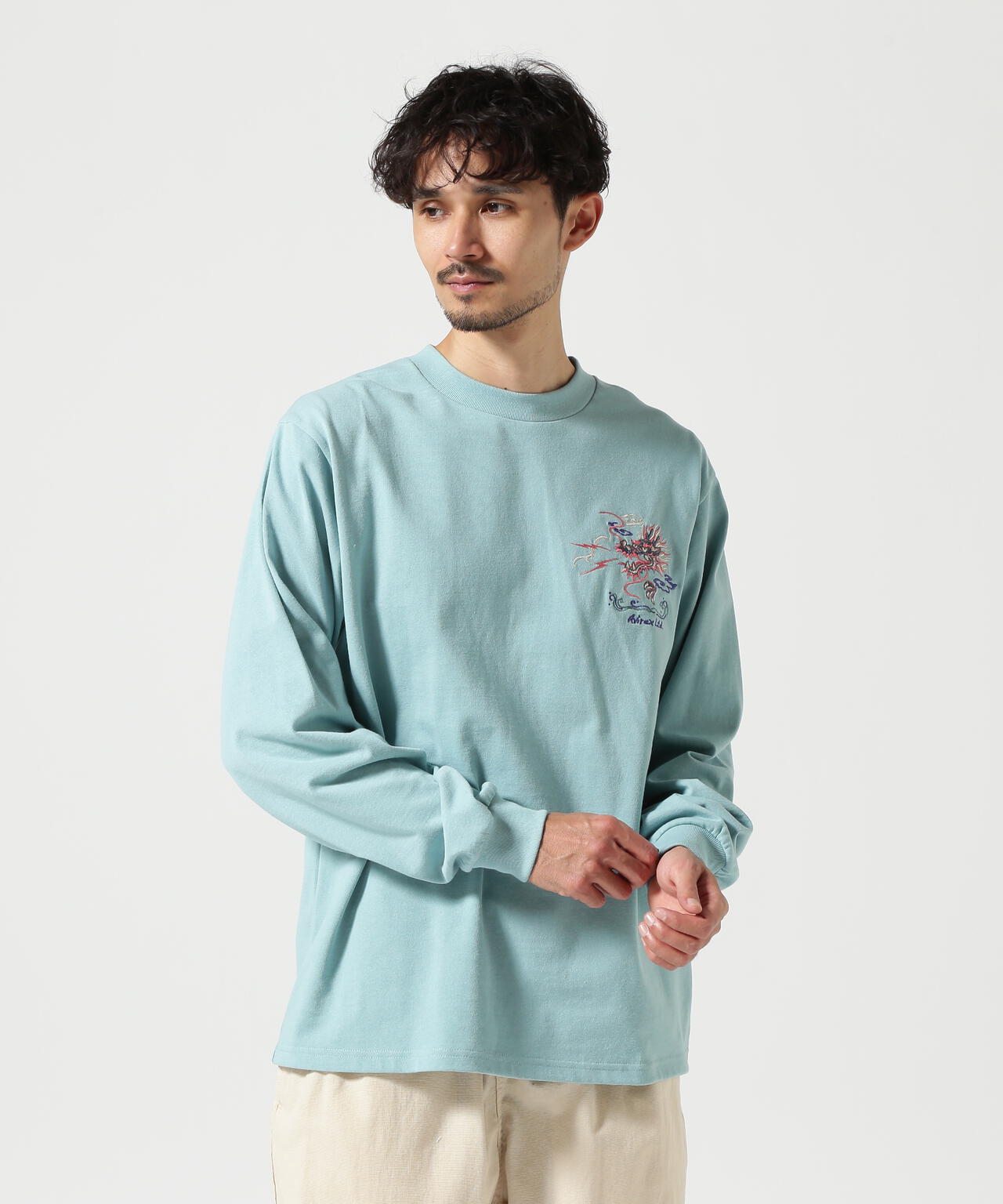 EMBROIDERY T-SHIRT "JAPAN MAP" / エンブロイダリー 長袖Tシャツ "ジャパン マップ" / AVIREX /