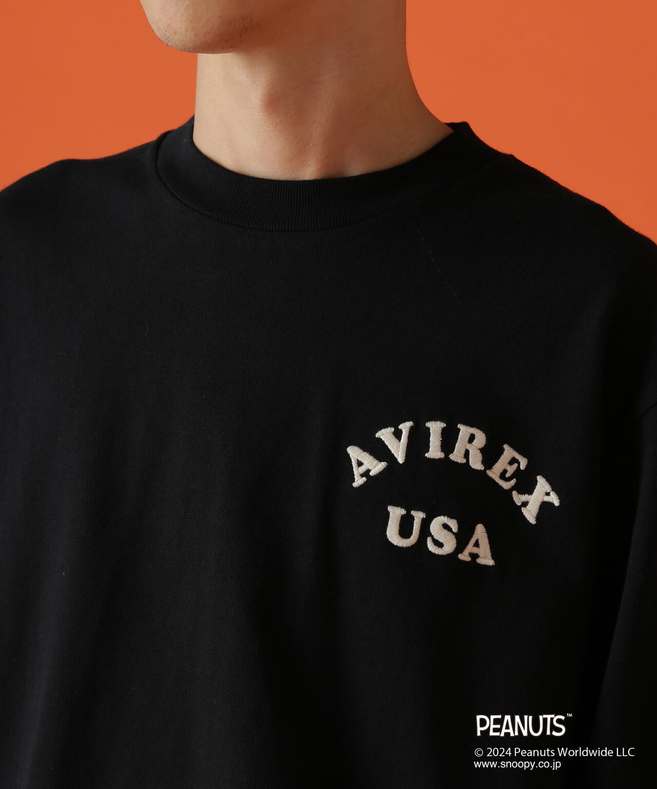 734d1da4-98cc-507f-bcf3-867e091dc293_Image