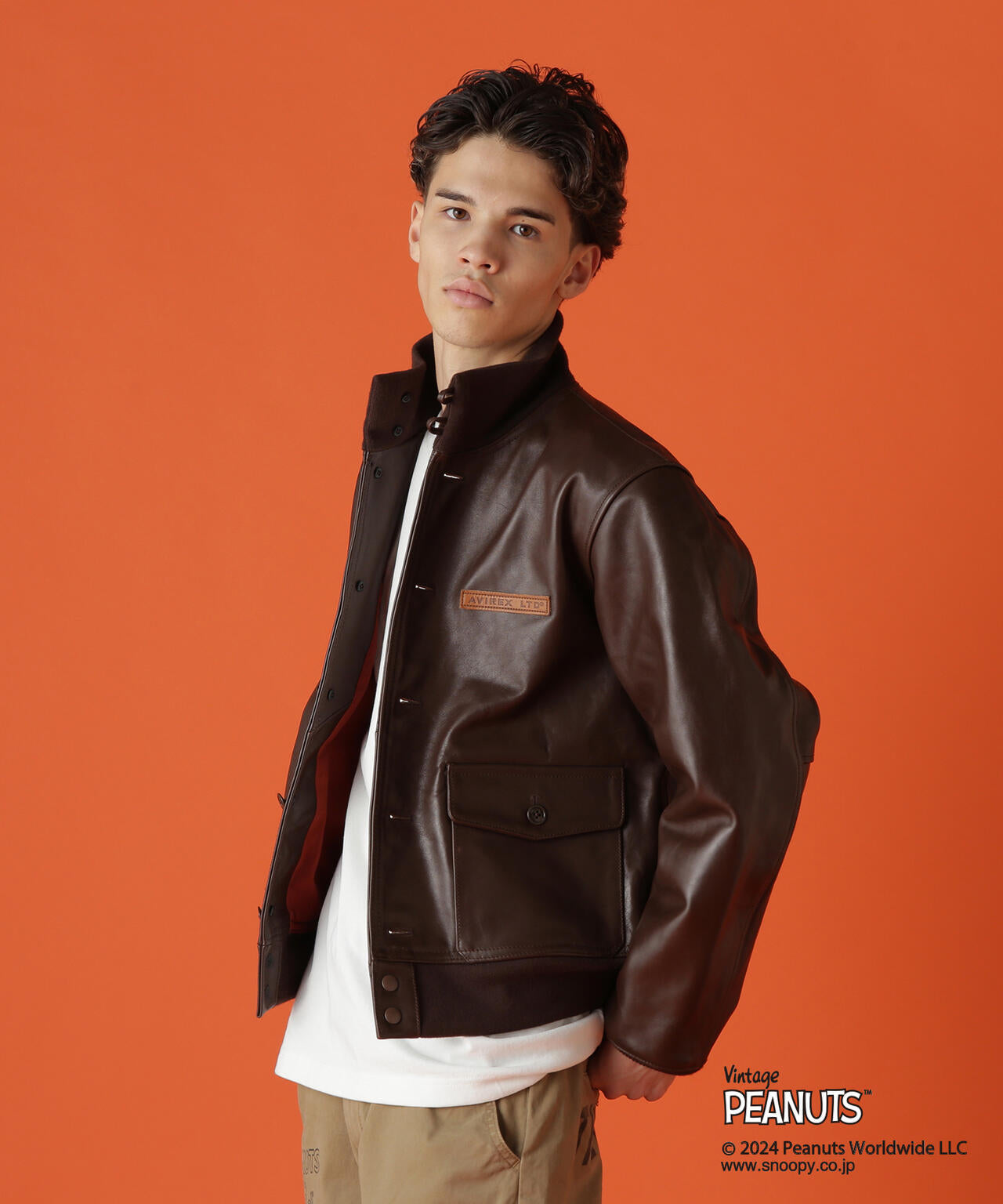 9cba3ebe-2c6d-5174-a1d1-d88a48e80225_Image