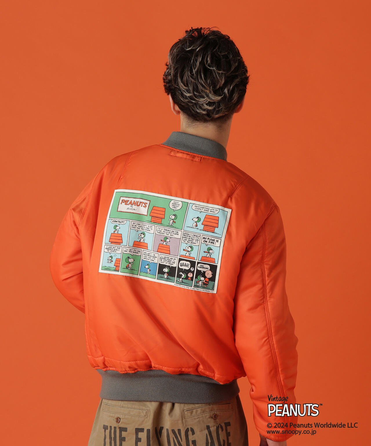 ef9ac1b9-192c-596e-b31a-3d766325a95e_Image