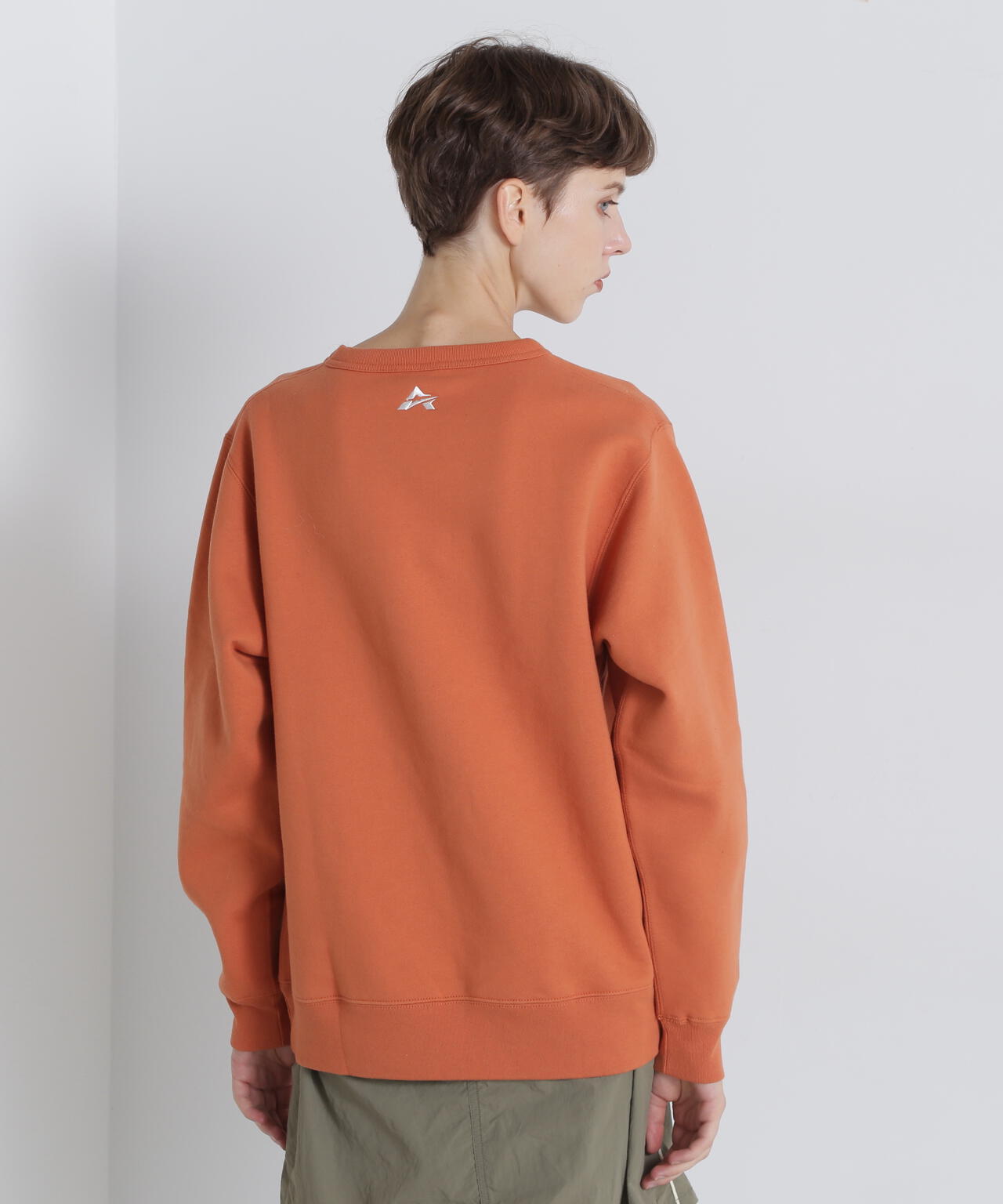 c051a422-f09a-5259-a929-68f8c65d0332_Image