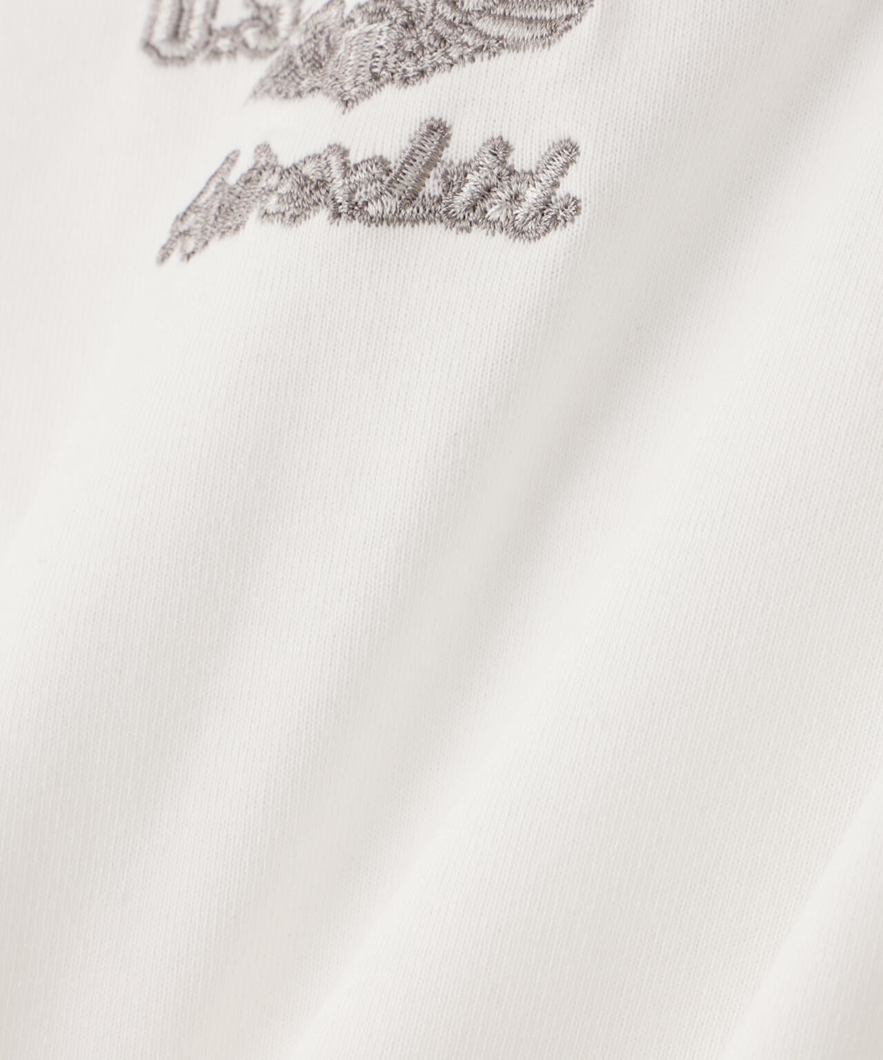 DOUBLE DRAGON SOUVENIR T-SHIRT / ダブルドラゴン スーベニア 長袖Tシャツ / AVIREX