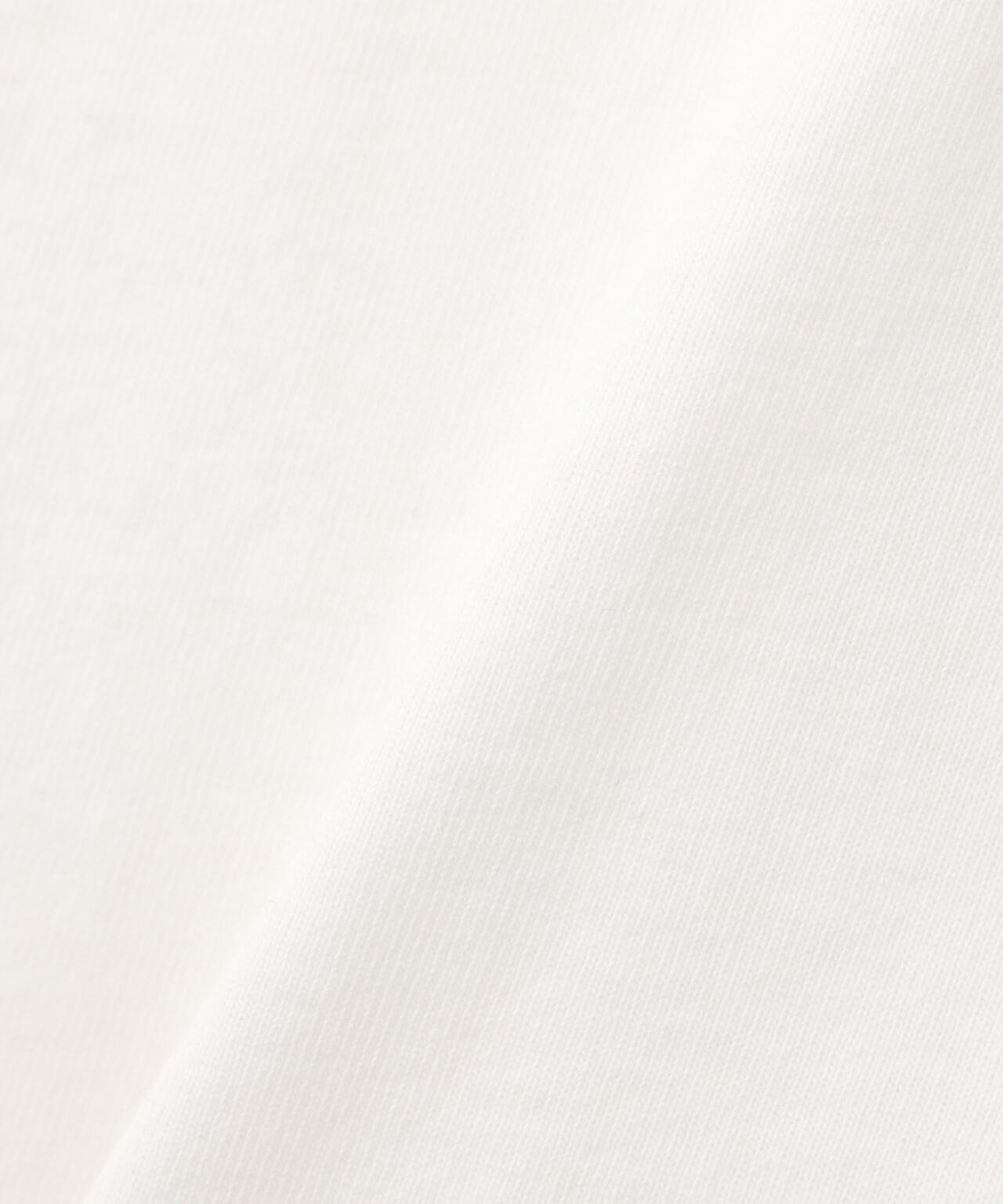 FADED CHEERLEADER T-SHIRT / フェイディド チアリーダー 半袖Tシャツ / AVIREX / アヴィレックス