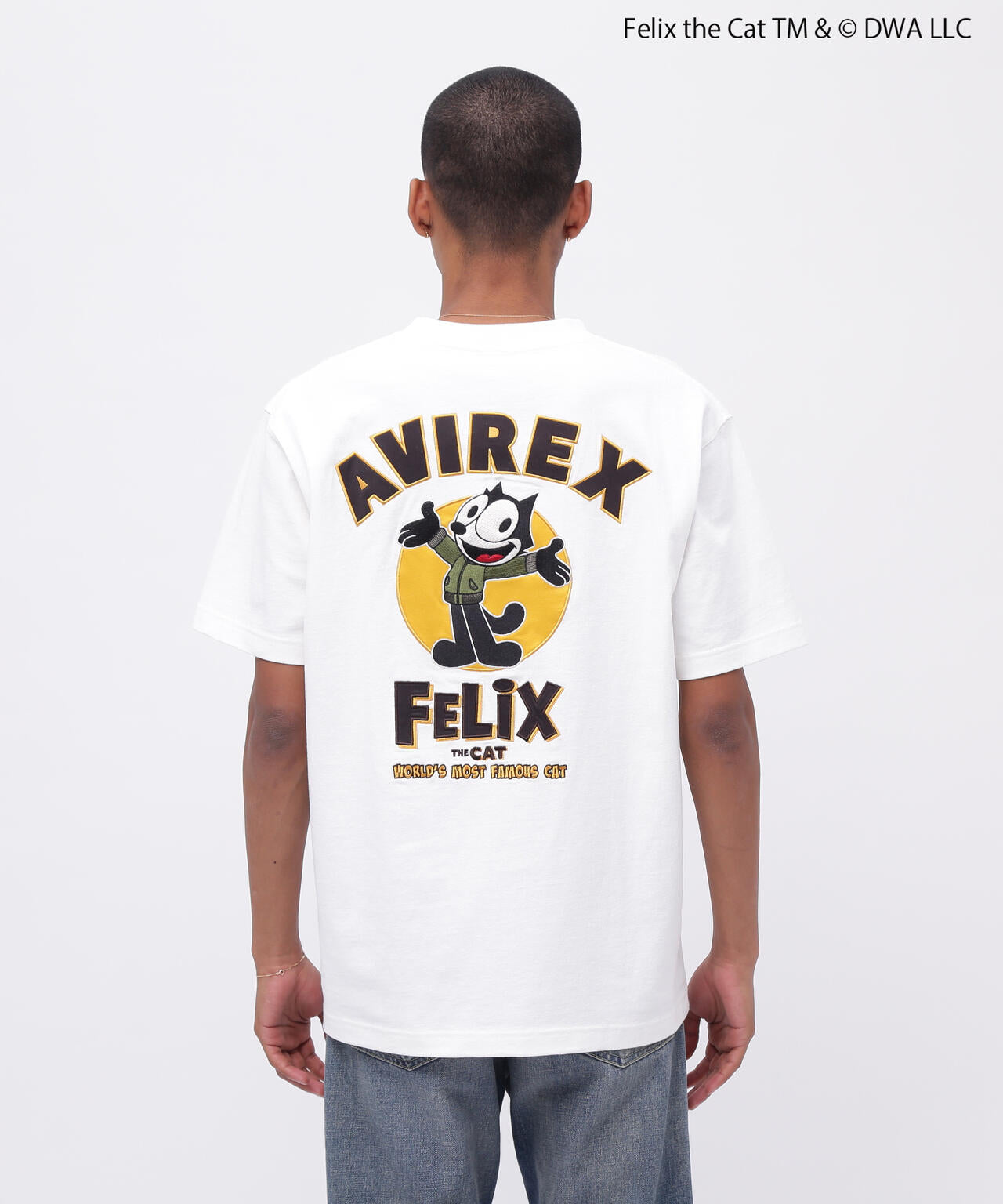 06efc07c-4c79-55ad-8708-e02d8dfa7fb6_Image