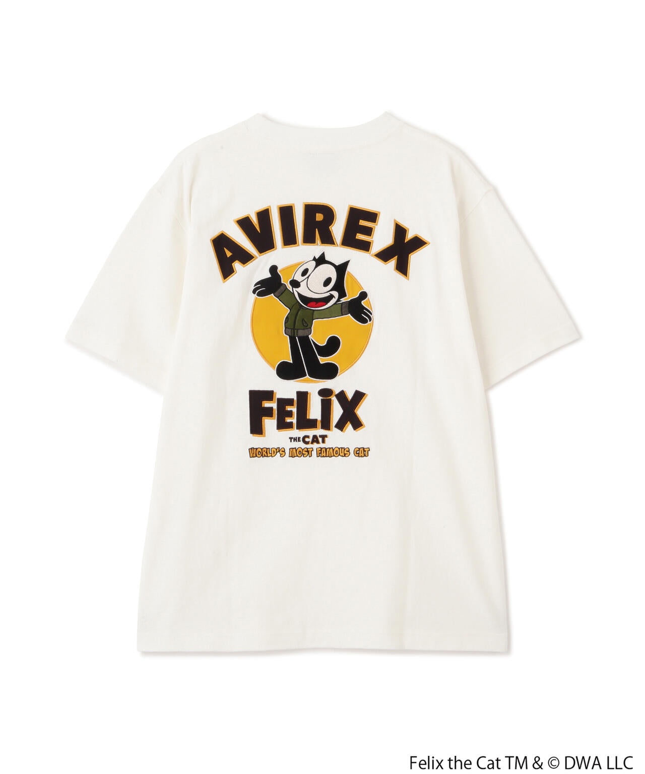 ee723180-e8d8-5120-899e-1f19024f6c92_Image