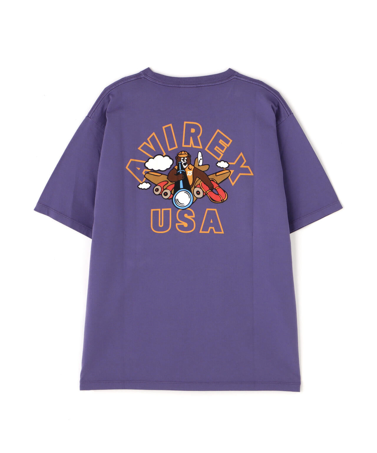 e56d6262-5fc7-57da-a71d-358f8010faa7_Image