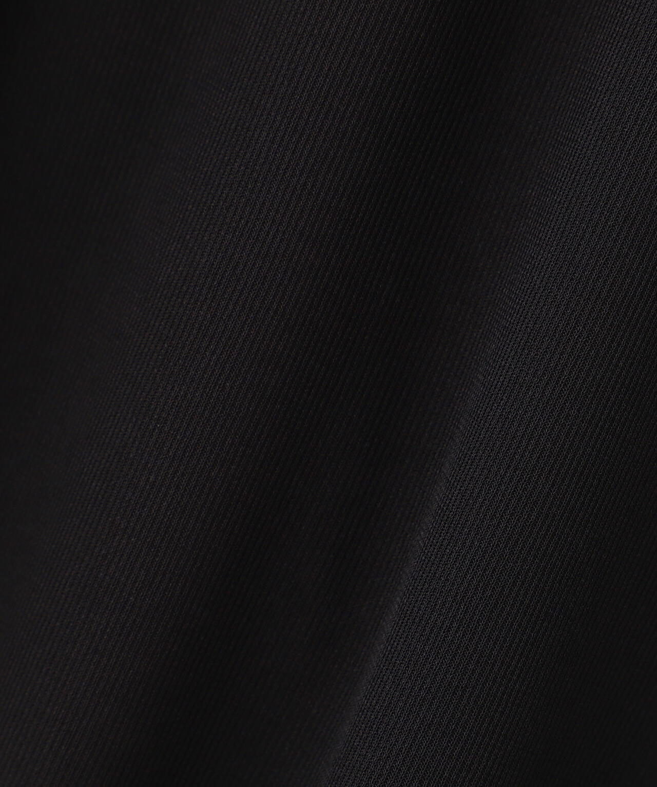 《WOMAN/直営店限定》SHEER LAYERED PRINT T-SHIRT/シアーレイヤード プリントTシャツ