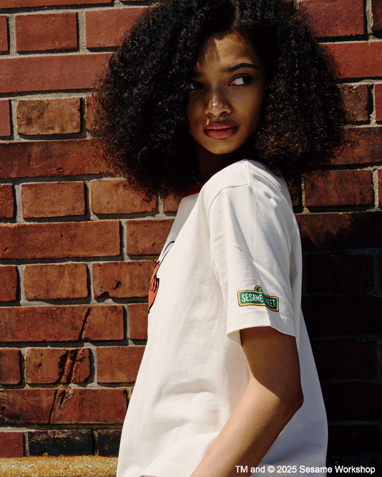 《SESAME STREET meets AVIREX》RINGER T-SHIRT