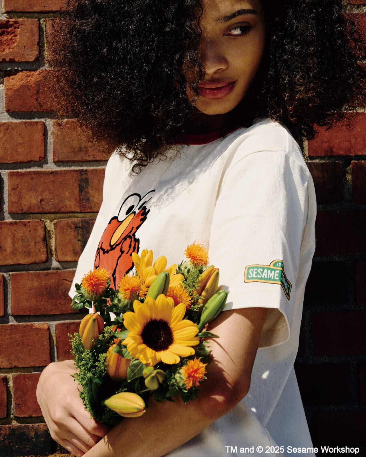 《SESAME STREET meets AVIREX》RINGER T-SHIRT