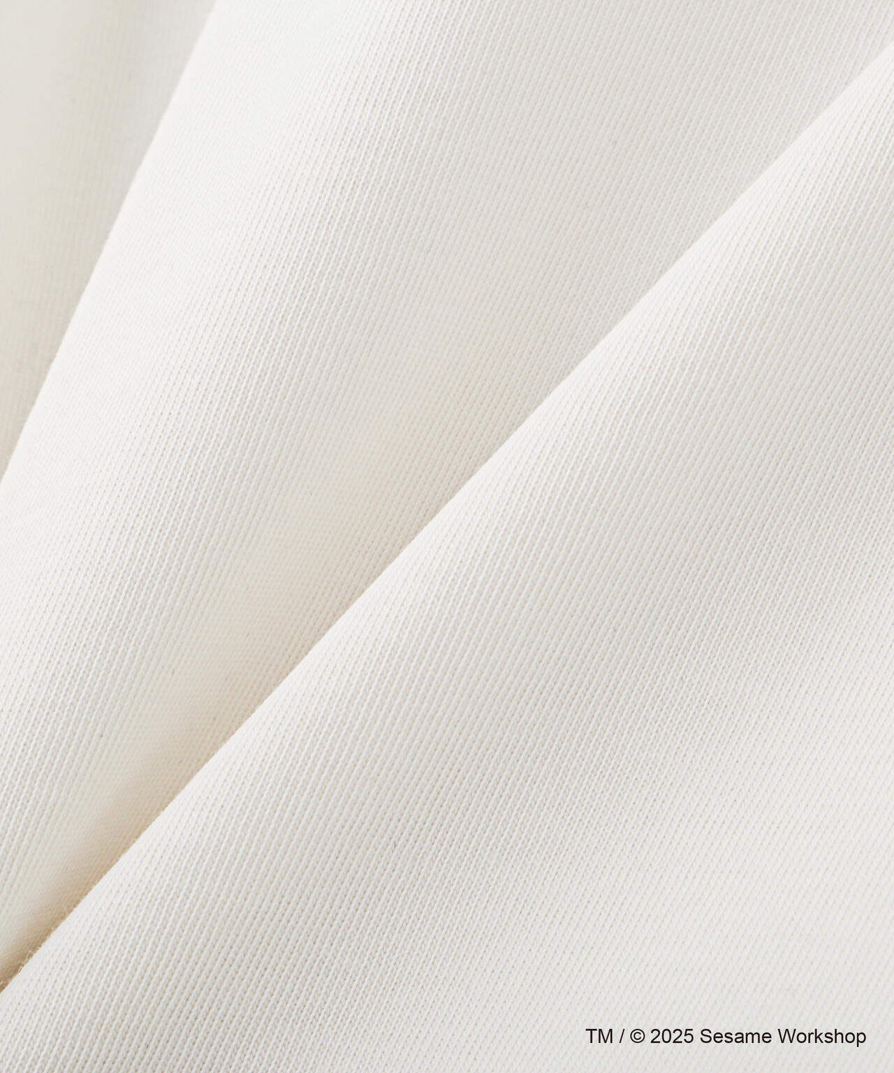 《SESAME STREET meets AVIREX》RINGER T-SHIRT