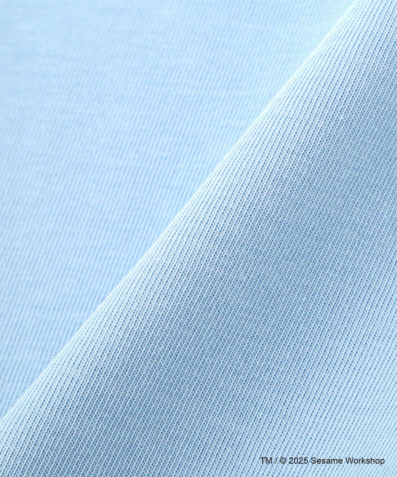 《SESAME STREET meets AVIREX》RINGER T-SHIRT